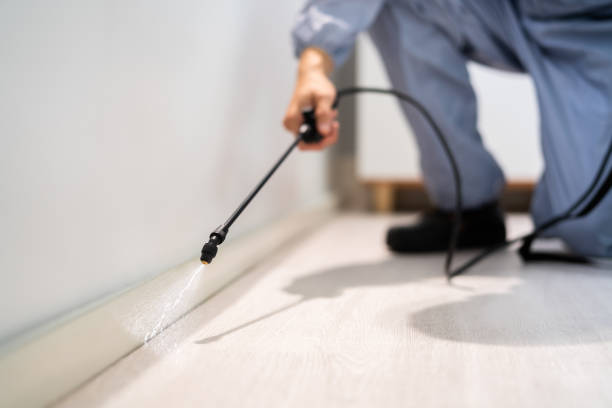 Licensed Exterminator service in Mount Olive, IL - Show Me Pest Control